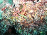 2012-09-19 15-19-06 Steven